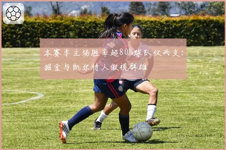 本赛季主场胜率超80%球队仅两支：掘金与凯尔特人傲视群雄