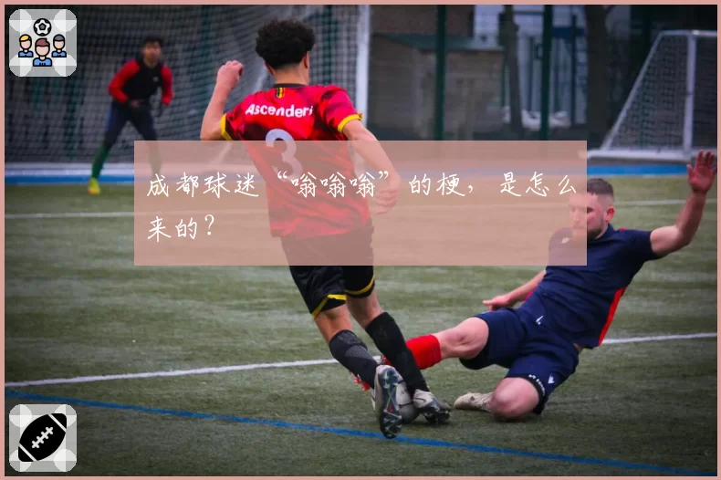 成都球迷“嗡嗡嗡”的梗,是怎么来的?