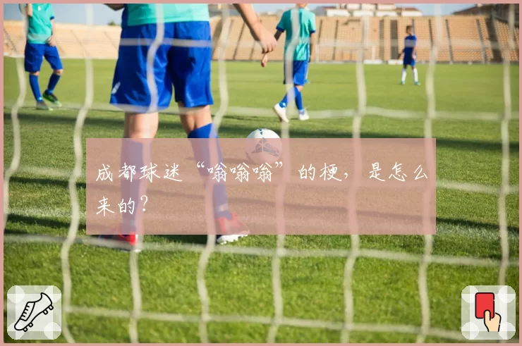 成都球迷“嗡嗡嗡”的梗,是怎么来的?