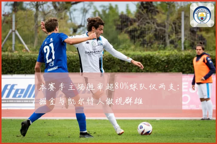 本赛季主场胜率超80%球队仅两支：掘金与凯尔特人傲视群雄