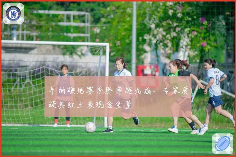 辛纳硬地赛季胜率超九成,专家质疑其红土表现含金量