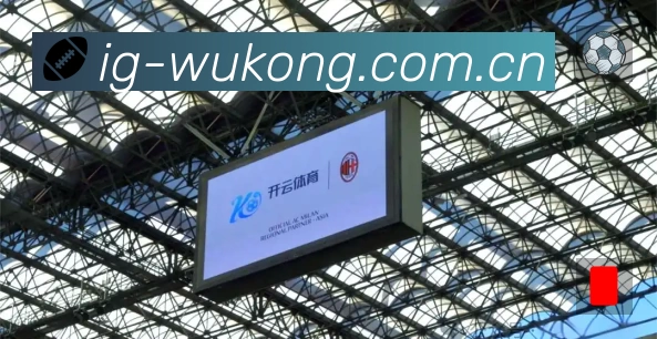 悟空体育APP 体育赛事宣传图