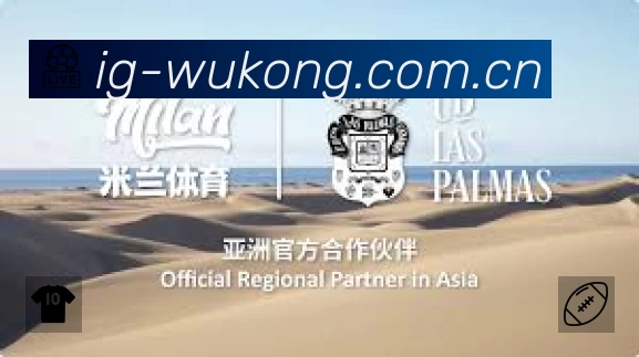 安全防护与风控机制